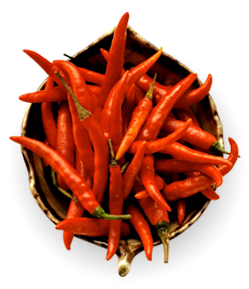 Chili - dschued heisst scharf